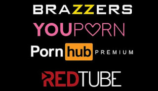 PORNHUB + YOUPORN + REDTUBE + BRAZZERS | PREMIUM PACK